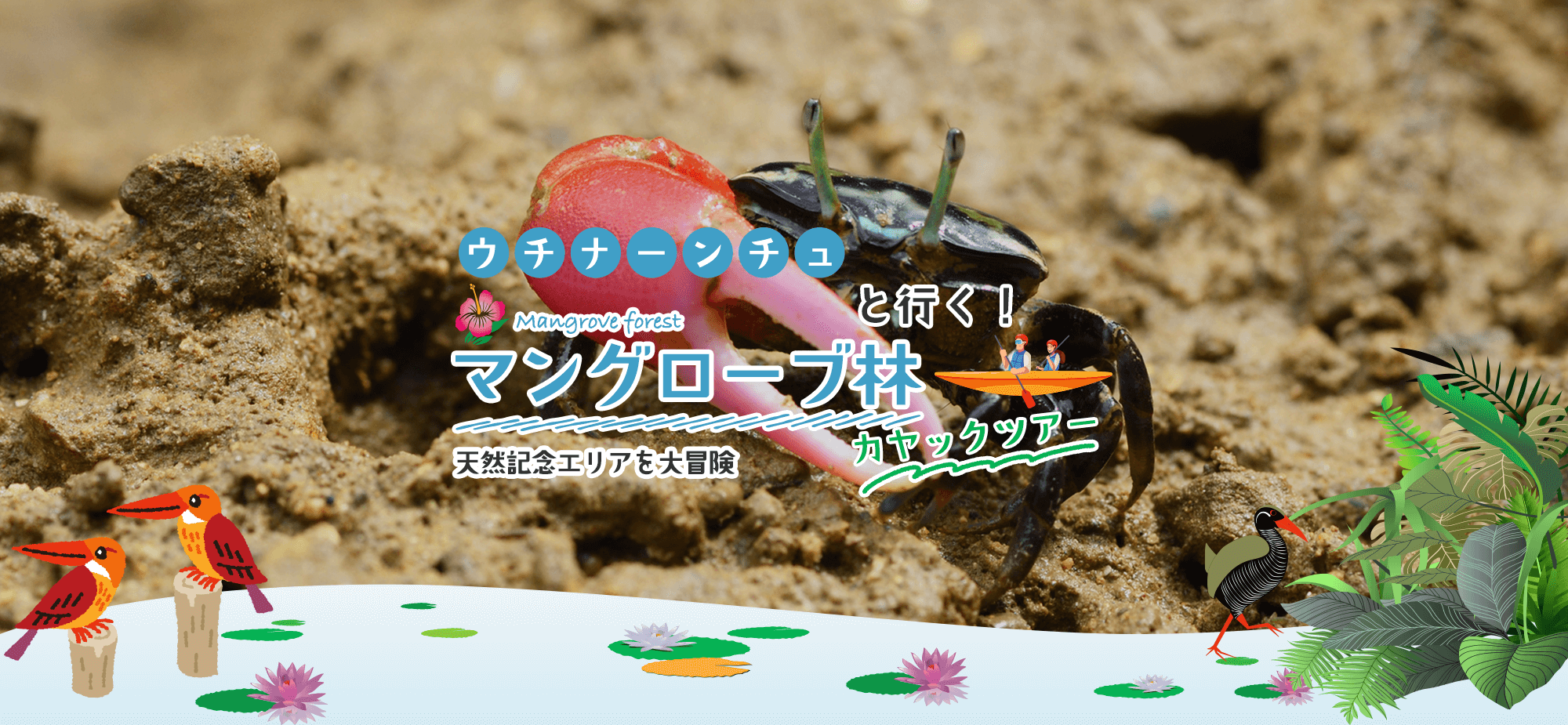 ウチナーンチュと行く！マングローブ林カヤックツアー